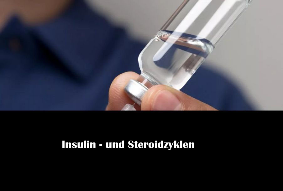 Insulin- und Steroidzyklen