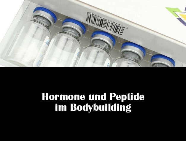 Hormone und Peptide im Bodybuilding
