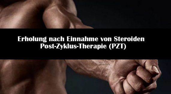 Erholung nach Einnahme von Steroiden | Post-Zyklus-Therapie (PZT)